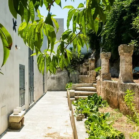 Casa Rosa Bed and breakfast Marina Serra